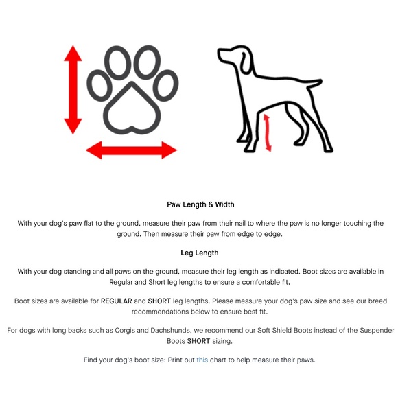 Dog Suspender Boots (NWOT) - Picture 2 of 6